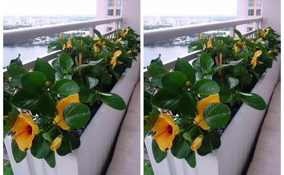 apartment for rent in district 2 D206052 (7)